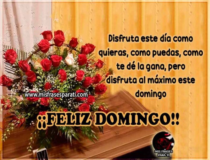 Disfruta al máximo este día, feliz domingo - Imagenes con frases